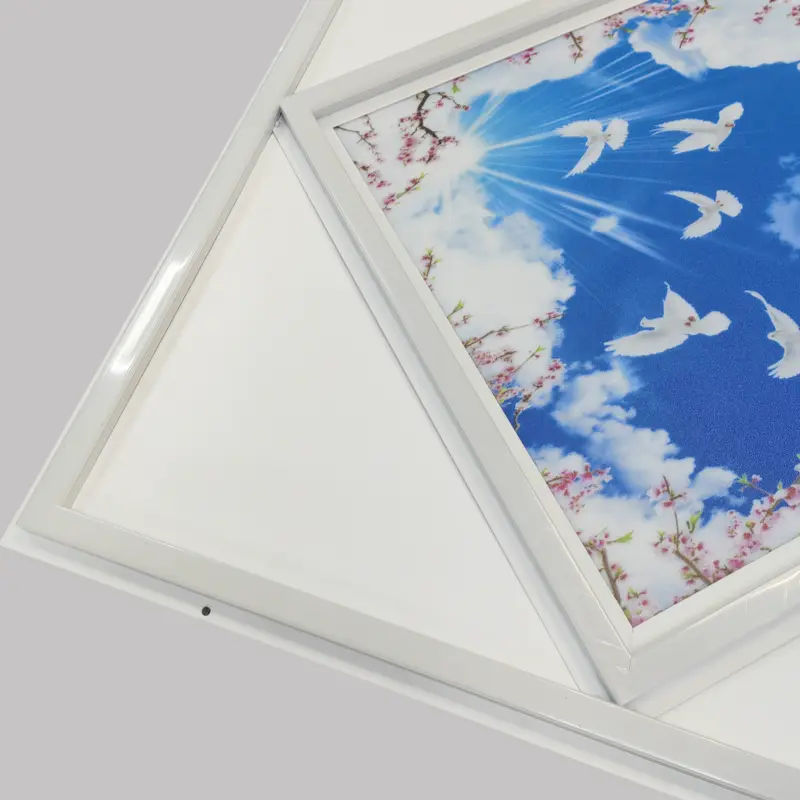 LED Frame Panel | Manufacturer | Blue Sky LED Panel 40W